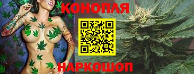 гидра Рыбинск
