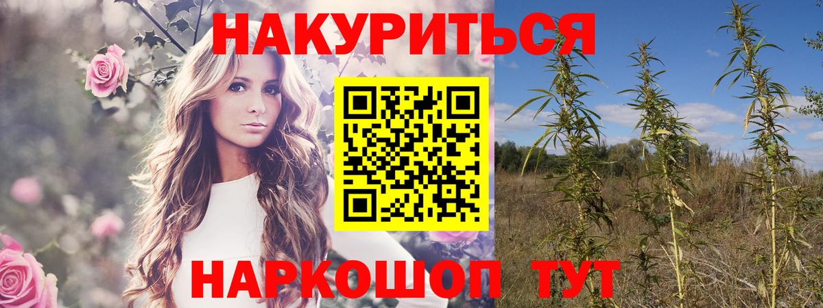 Шишки марихуана Ganja Печора